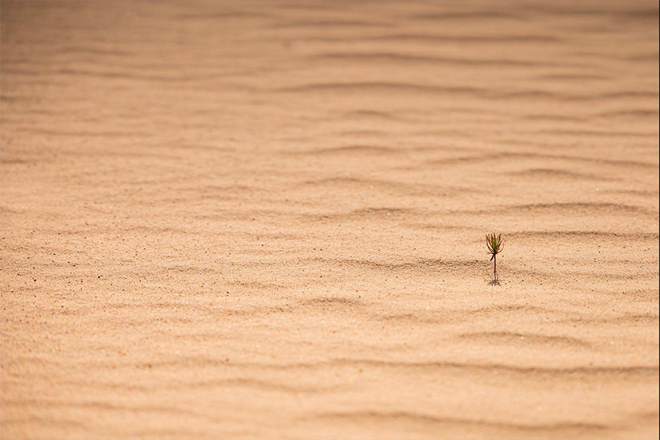 Winnende foto van Soy Winnende foto van Soy