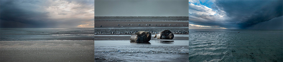 Winnende wadden serie van Stefano