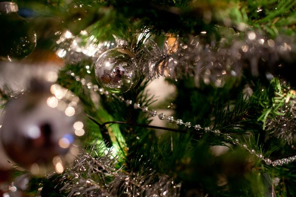 Kerstbal Kerstbal fotograaf
