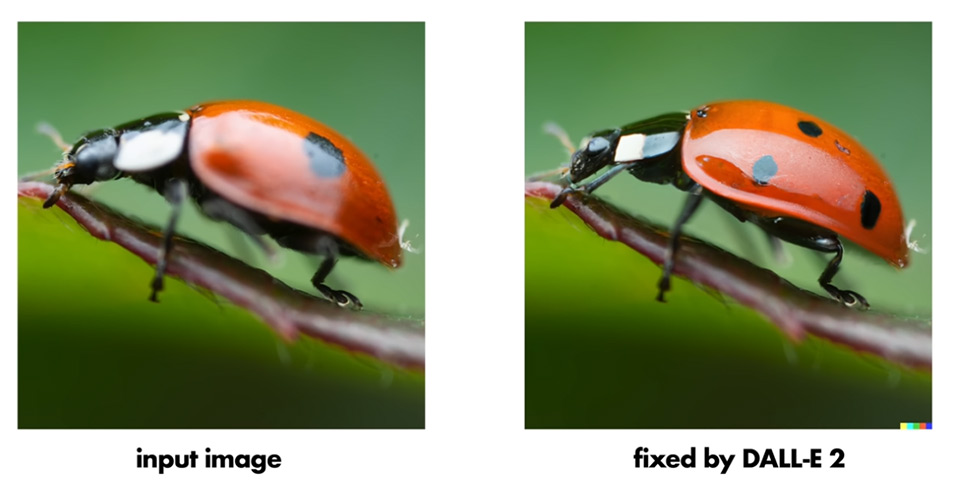 Ladybug DALL-E 2 Ladybug DALL-E 2