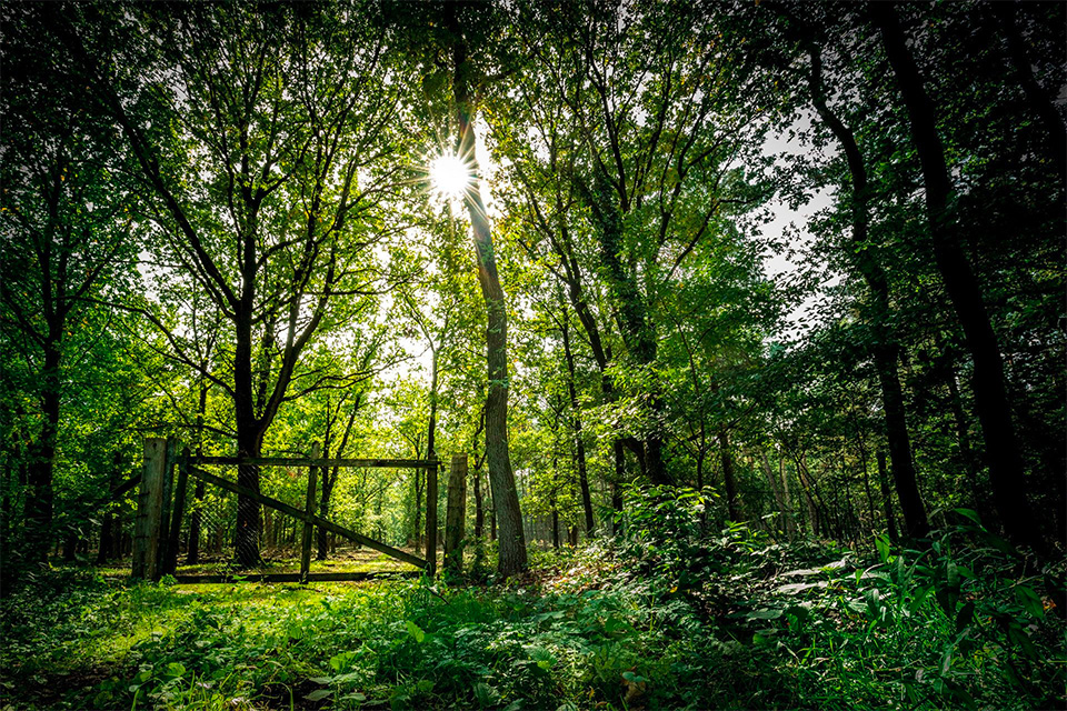 Landschapsfoto door Giel