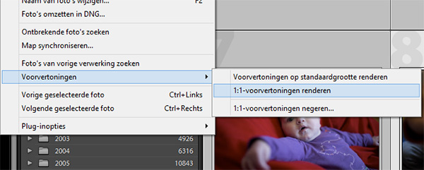 Lightroom voorvertoningen renderen Lightroom voorvertoningen