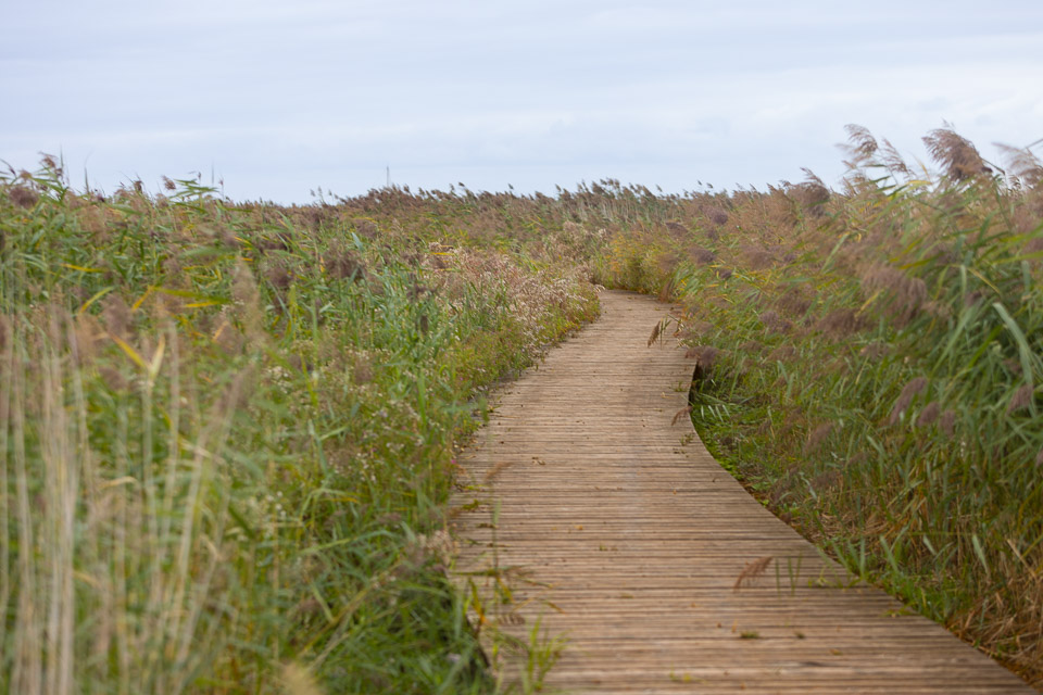 Marker Wadden