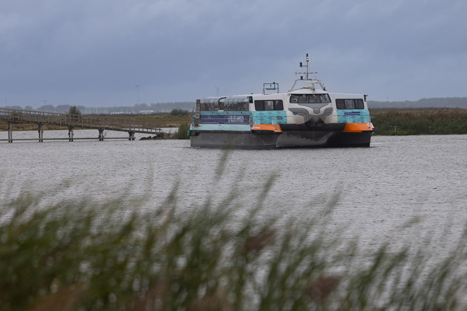 Markerwadden veerboot