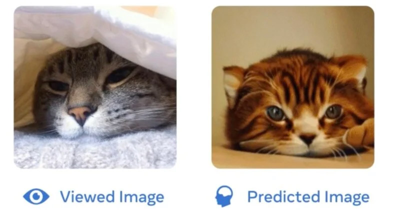 Meta AI Meta AI