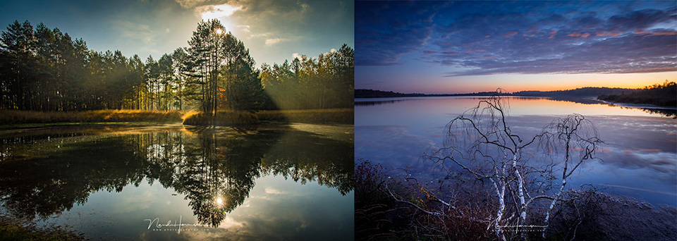 Nederlandse landschappen door expert Nando Harmsen