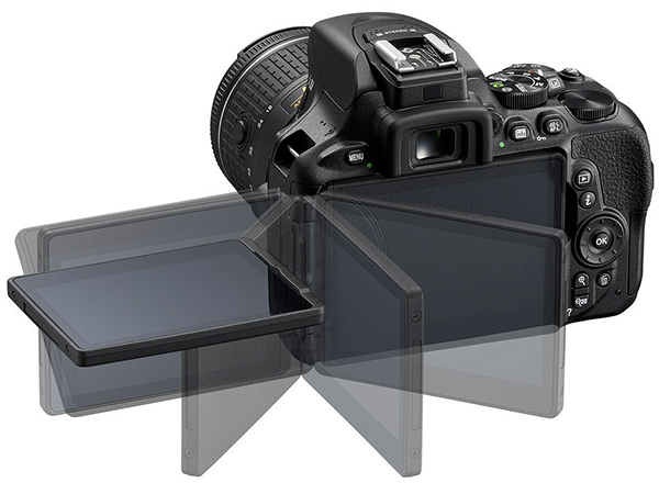 Nikon D5600 Nikon d5600 back