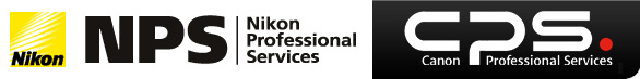 Professional Services