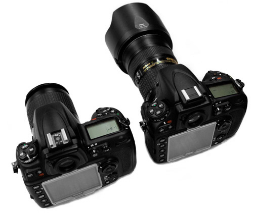 Nikon D800 vs D700