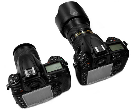 Nikon D800 vs D700 Nikon D800 vs D700
