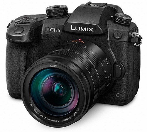 Panasonic lumix gh5