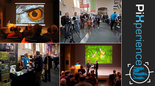 PiXperience PiXperience
