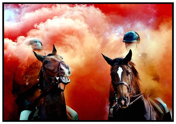 Paarden Scheveningen; copyright Pim Ras