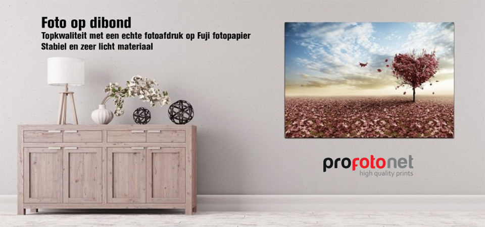 Profotonet dibond promo2