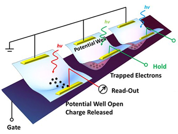 Rice thin ccd sensor