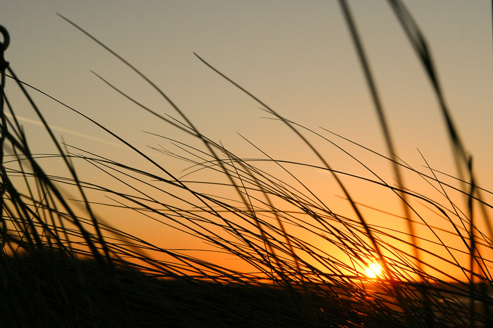 Zonsopkomst Zonsopkomst