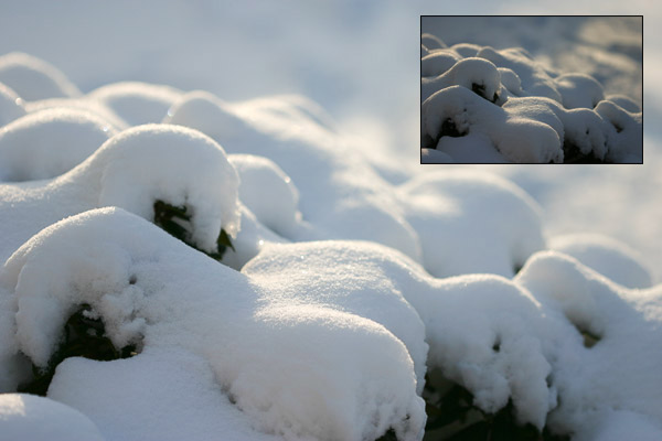 Sneeuw onderbelicht