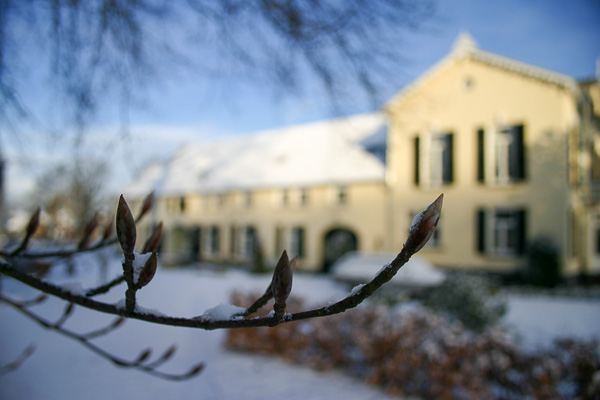 Sneeuw driehuizen