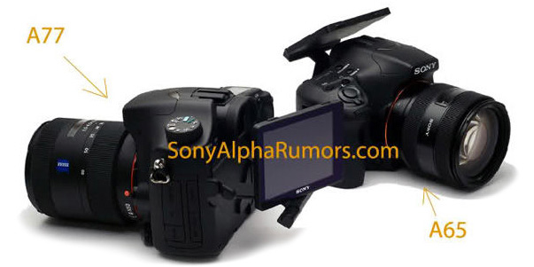 Sony A77 en A65 Sony A77 en A65