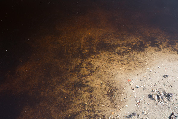 Water pola Water pola