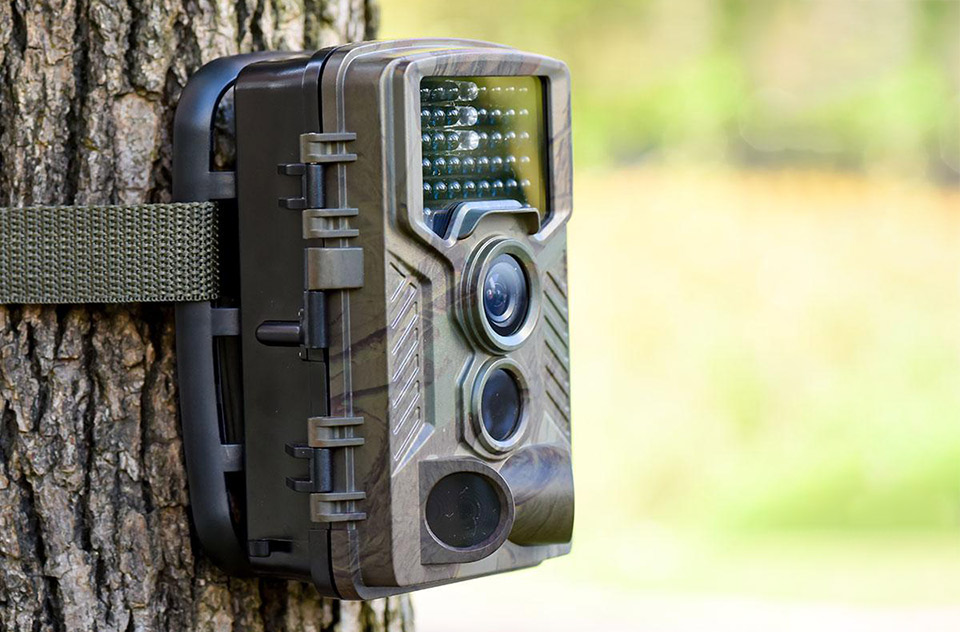 Wildcamera aan boom Wildcamera aan boom