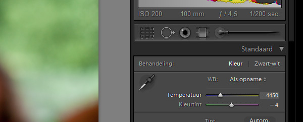 Witbalans instellen in Lightroom Witbalans instellen in Lightroom