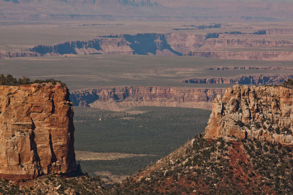 Grand Canyon, North Rim, Arizona Een foto impressie van de Verenigde Staten