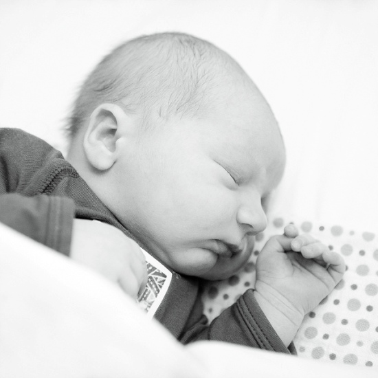 2012 09 12 Sepp 2012 09 12 Sepp
