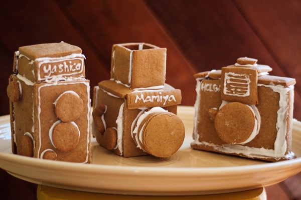 Extra2 gingerbread camera 119 Extra2 gingerbread camera 119