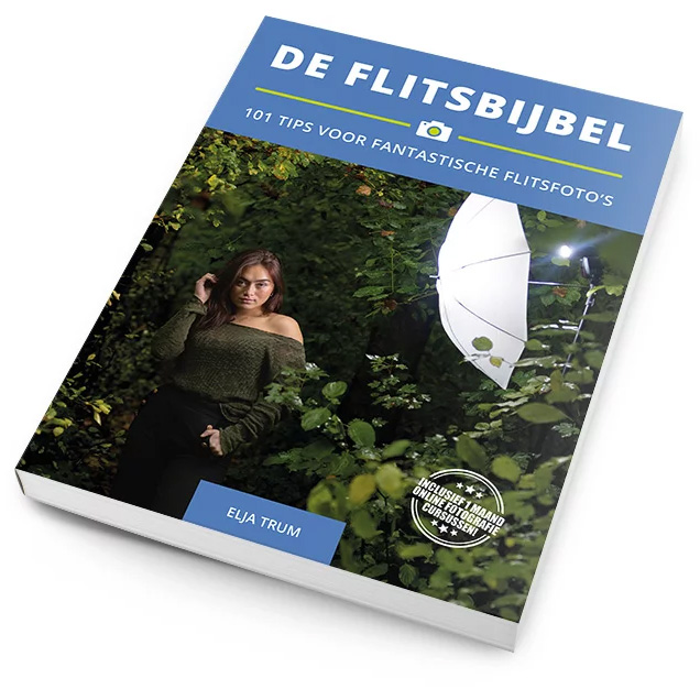 Flitsbijbel