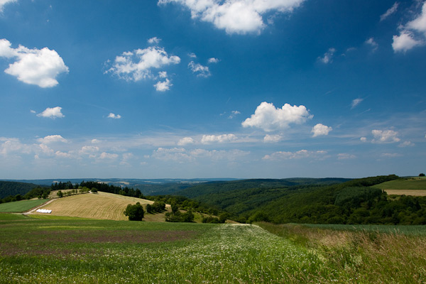 Landschap Landschap