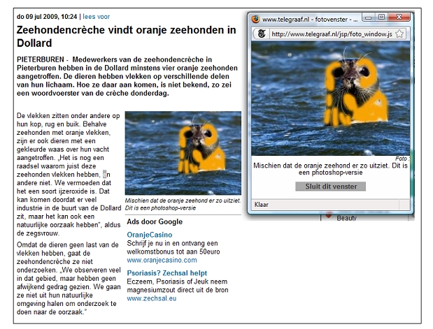 Oranje zeehondjes in de Telegraaf Telegraaf