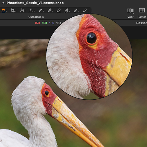 Capture one loupe Capture One - Loupe