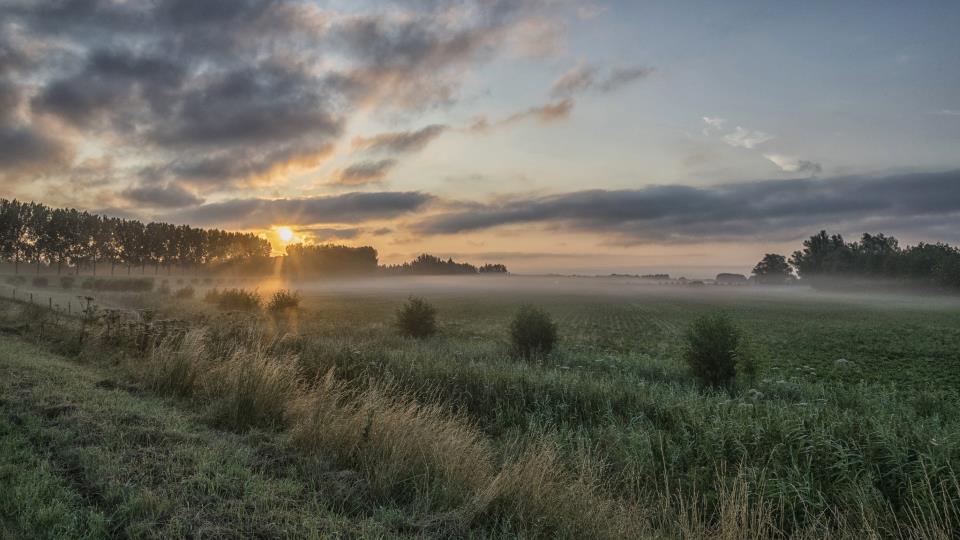 Biesbosch