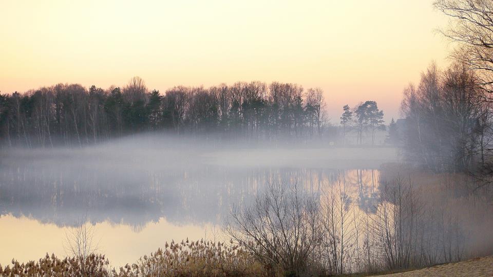 Evening fog jarek radimersky