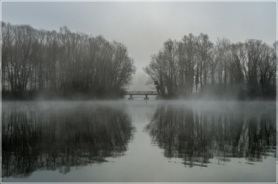 Fog symmetry arno hoyer