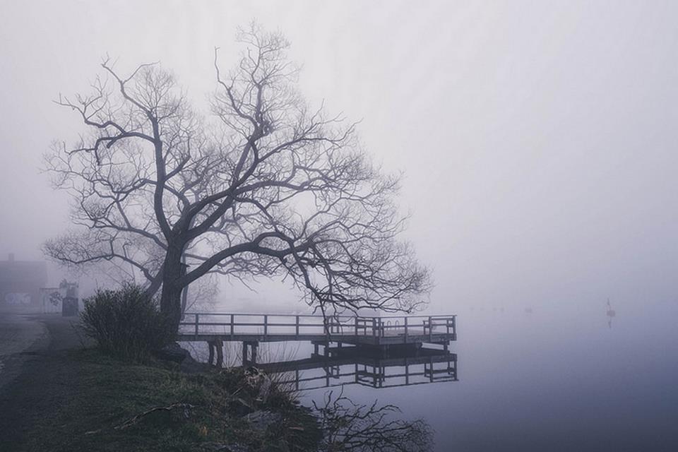 Jetty in fog jo eriksson