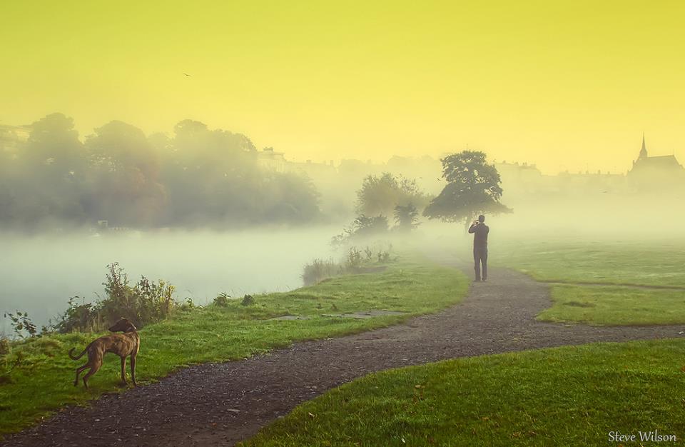 The picture taker steve wilson