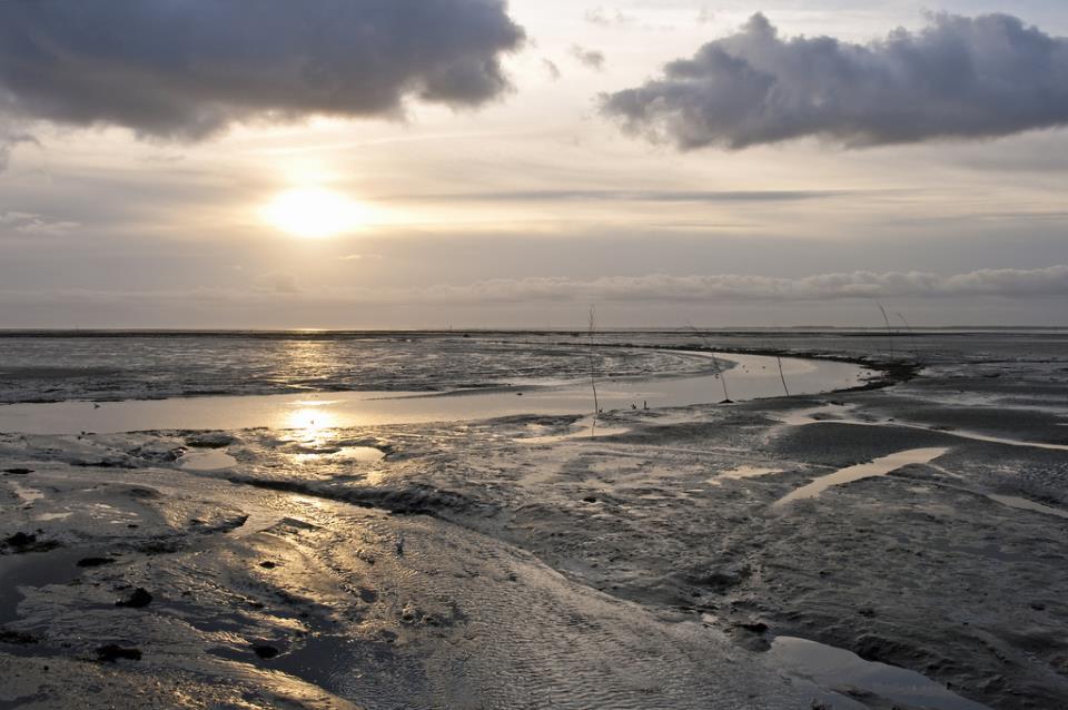 Waddenzee