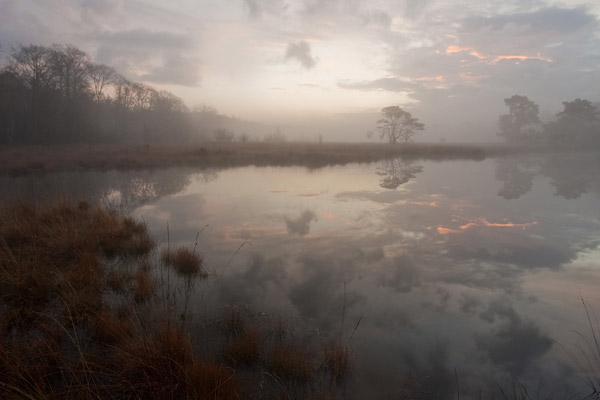 Kootwijkerveen in ochtendmist gehuld Kootwijkerveen in ochtendmist gehuld