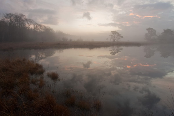 Kootwijkerveen in ochtendmist gehuld