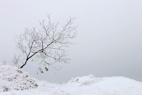 Sneeuw Sneeuw