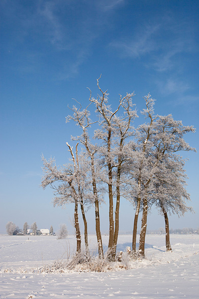 Besneeuwd prookjeslandschap