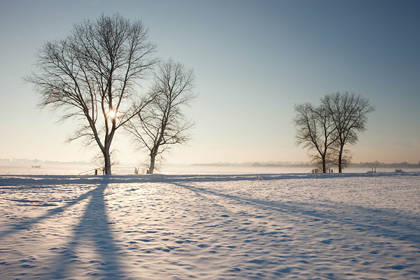 Besneeuwd prookjeslandschap