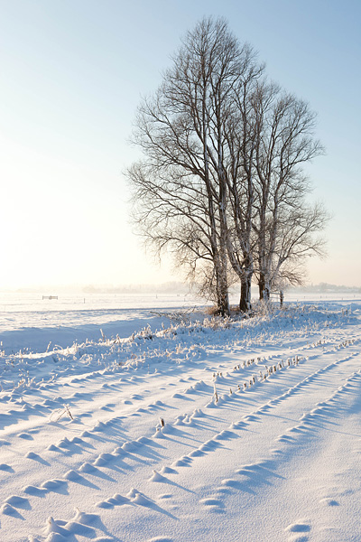 Besneeuwd prookjeslandschap