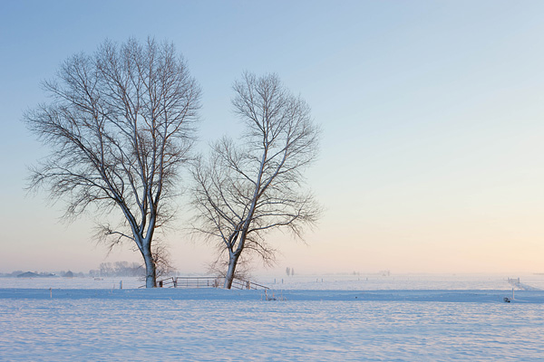 Besneeuwd prookjeslandschap