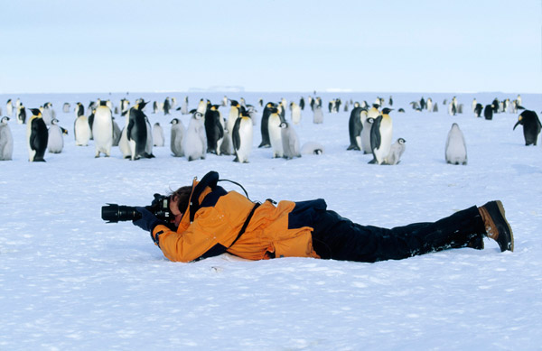 Snow Hill Island, Antarctica; copyright Jan Vermeer
