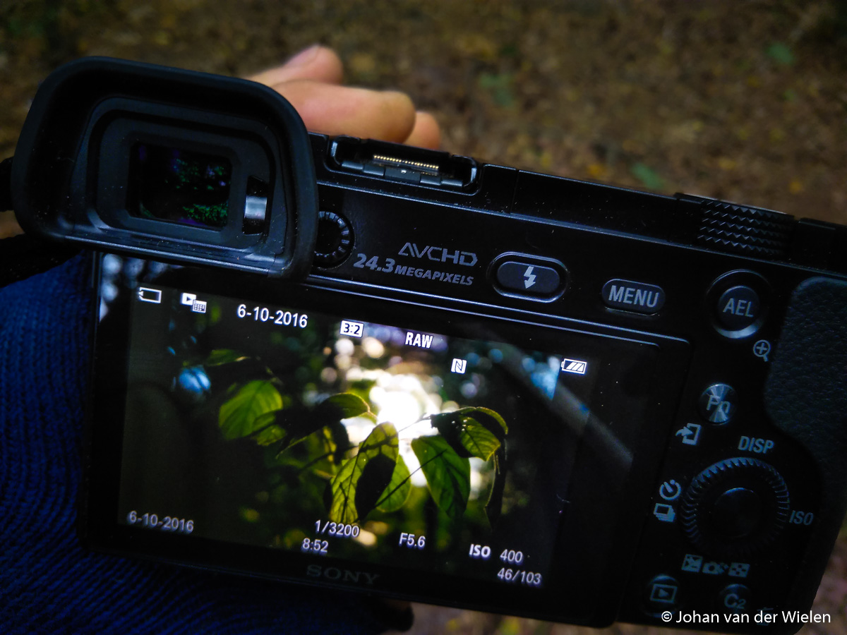 Sony a6000 in het bos