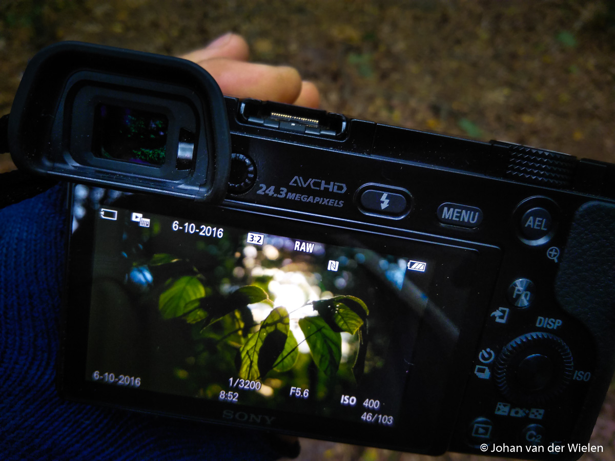 Sony a6000 in het bos Sony a6000 in het bos
