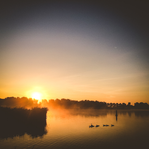 Sunrise eenden Sunrise eenden